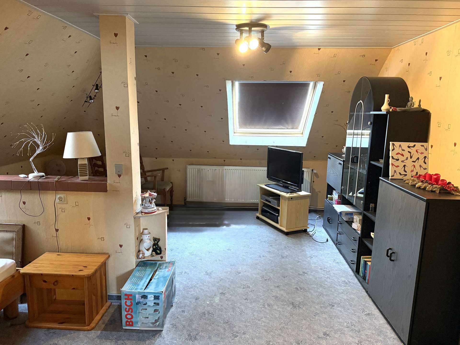 Zimmer DG